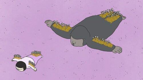 Gorilla Gorilla
