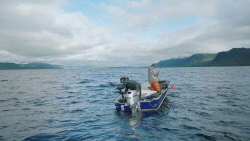 Alaska Fish: Exploring the Waters of Southeast Alaska Alaska Fish: Exploring the Waters of Southeast Alaska