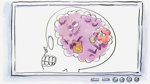 Le cerveau de Lucy