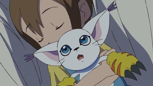 Hikari and Tailmon Hikari and Tailmon