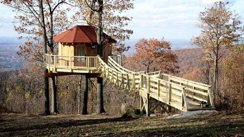 Black Bear Bungalow Black Bear Bungalow