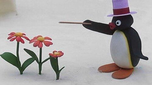Pingu's Wish Pingu's Wish