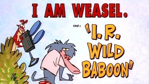 I.R. Wild Baboon I.R. Wild Baboon