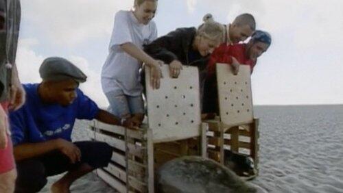 Giving a Helping Flipper Giving a Helping Flipper