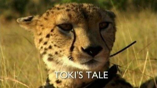 Toki's Tale Toki's Tale