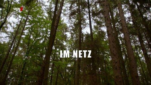Im Netz Im Netz