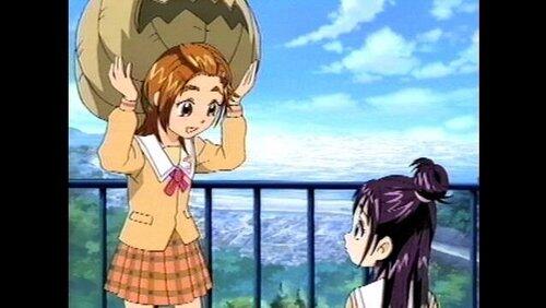 What will Mai do? Mai's distress and culture festival What will Mai do? Mai's distress and culture festival