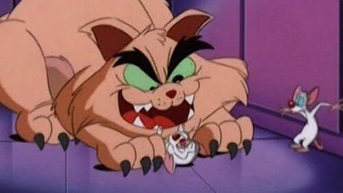 The Cat Who Cried Woof! The Cat Who Cried Woof!