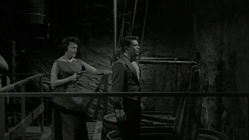 Death and the Joyful Woman Death and the Joyful Woman