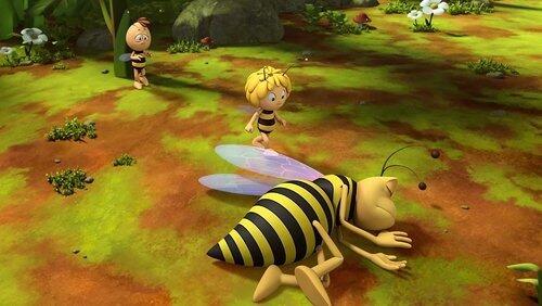 Stinger Stung Stinger Stung