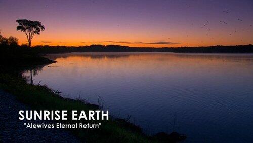 Alewive Eternal Return Alewive Eternal Return