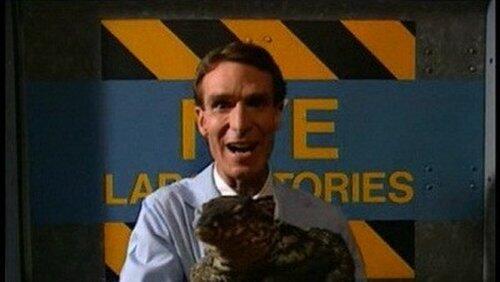 Reptiles Reptiles
