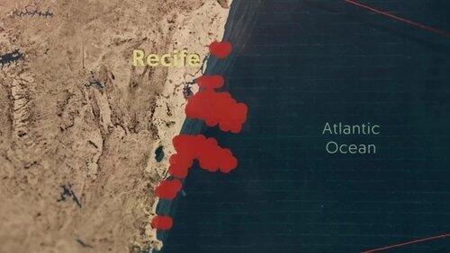 Bedlam In Brazil Bedlam In Brazil