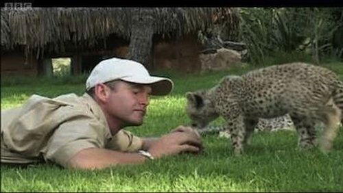 Cheetahs - Fast Track to Freedom Cheetahs - Fast Track to Freedom