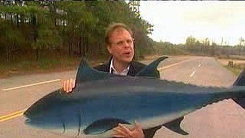 Tuna: The Other Red Meat Tuna: The Other Red Meat