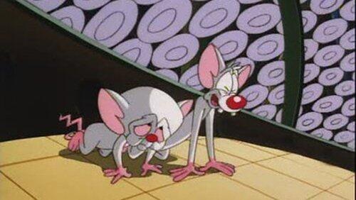 Brainwashed (1): Brain, Brain, Go Away Brainwashed (1): Brain, Brain, Go Away