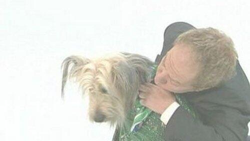 Pet Love Pet Love