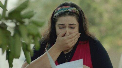 המצלמה חושפת את ההרמון המצלמה חושפת את ההרמון