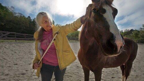 Free Reins Free Reins