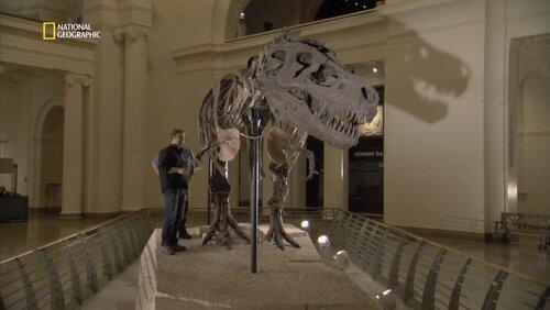 T Rex Trauma T Rex Trauma