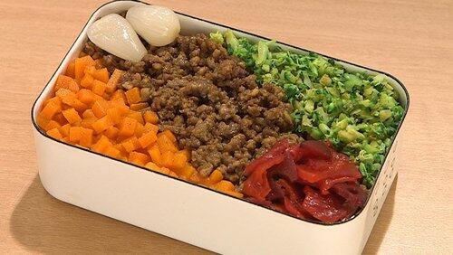 Triple Curry Soboro Bento & Saba Katsu Bento Triple Curry Soboro Bento & Saba Katsu Bento