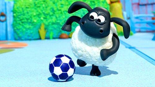 Timmy Says Sorry Timmy Says Sorry