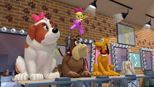 The Hot Diggity Dog Show The Hot Diggity Dog Show