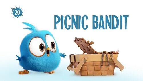 Picnic Bandit Picnic Bandit
