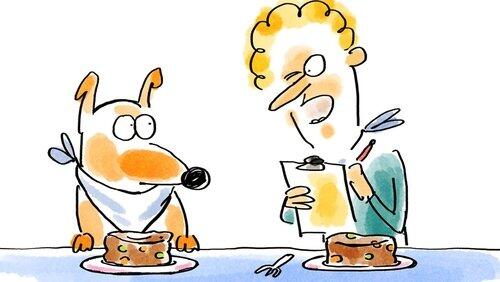 Pâtée pour chiens Pâtée pour chiens