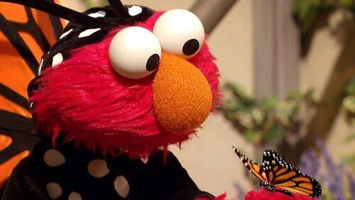 Elmo's Butterfly Friend Elmo's Butterfly Friend