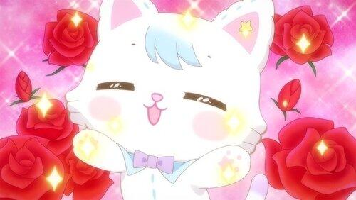 Bonjour Castle is Glittering Bonjour Castle is Glittering