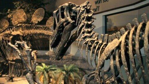 The Great Extinction The Great Extinction