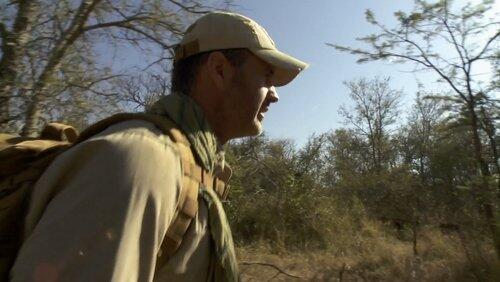 South Africa: Safari Survival South Africa: Safari Survival
