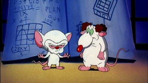 Pinky & The Brain and... Larry Pinky & The Brain and... Larry