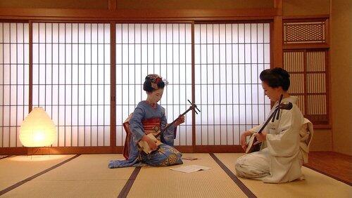 Maiko Maiko