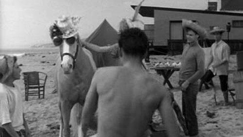Ed the Beachcomber Ed the Beachcomber