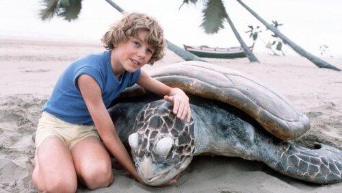 The Boy Who Talked with Animals The Boy Who Talked with Animals