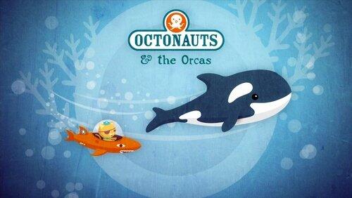 The Orcas The Orcas
