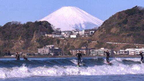 Catching Early Spring in Kamakura Catching Early Spring in Kamakura