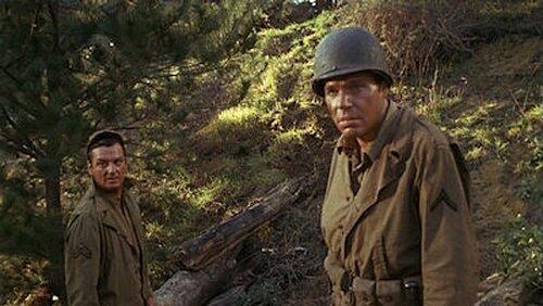 Nightmare on the Red Ball Run Nightmare on the Red Ball Run
