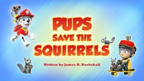 Pups Save the Squirrels Pups Save the Squirrels
