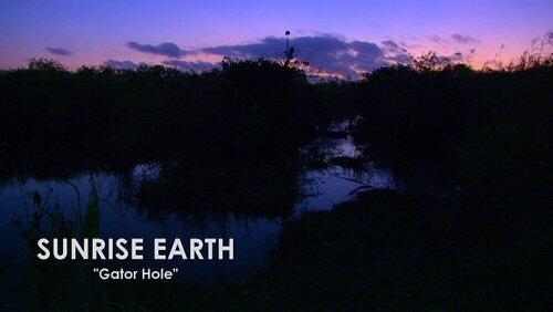 Gator Hole Gator Hole