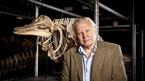 Attenborough's Life Stories: Part Three - Our Fragile Planet Attenborough's Life Stories: Part Three - Our Fragile Planet