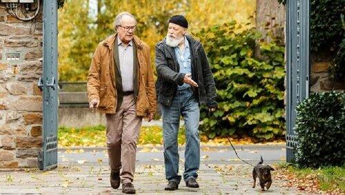 Auf den Hund gekommen Auf den Hund gekommen