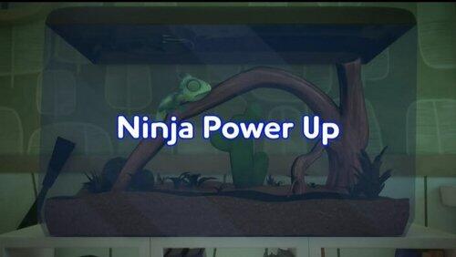 Ninja Power Up Ninja Power Up