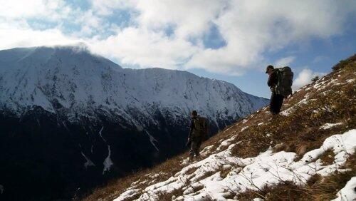 The Rugged Peaks: Alaskan Mountain Goats The Rugged Peaks: Alaskan Mountain Goats