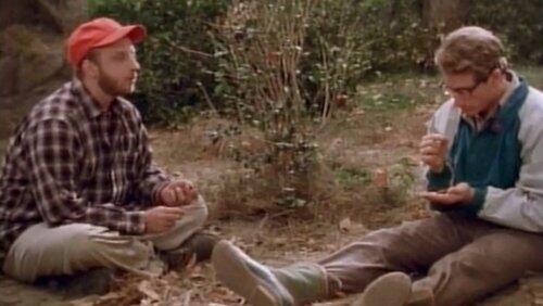 Camping 2000 Camping 2000