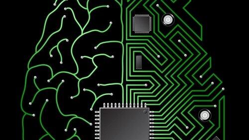 How Does the Brain Work? How Does the Brain Work?