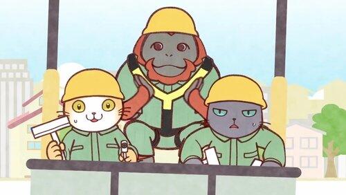 High-Rise Window Washing Buddies High-Rise Window Washing Buddies