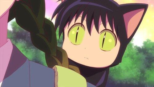 Sakura's Wager Sakura's Wager